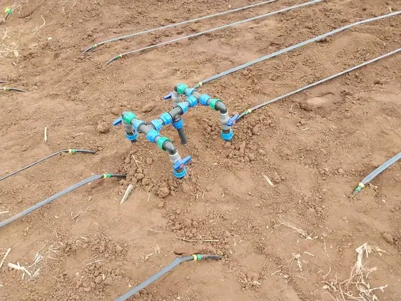 Drip irrigation system