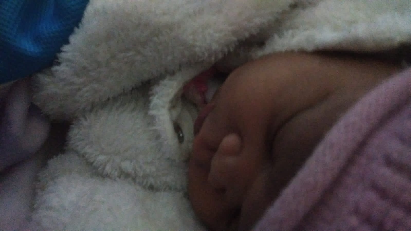 Premac doula services