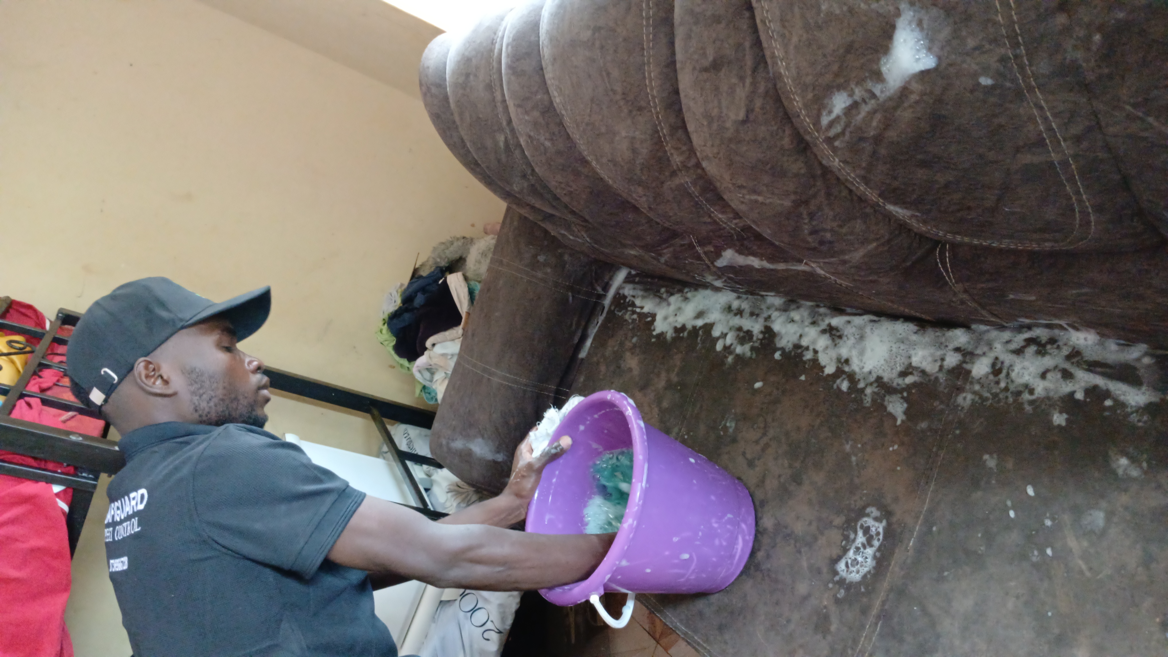Sofa cleaning