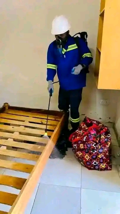 Bedbugs fumigation